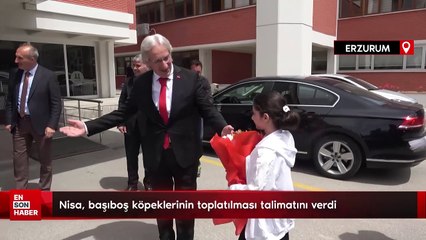 Download Video: Erzurum'da başkanlık koltuğunu oturan Nisa, talimatını verdi