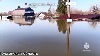 Images impressionnantes des inondations en Russie et au Kazakhstan, animaux secourus