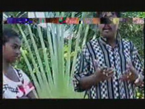 Clo mahajanga mieritrereta