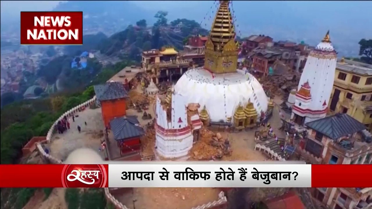 Rahasya : जानवर कैसे हो जाता किसी भी प्राकृतिक आपदा का पूर्वाभास?