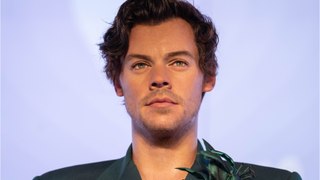 Harry Styles's stalker sent him 8000 cards in a month and is now in jail: Who is Myra Carvalho?