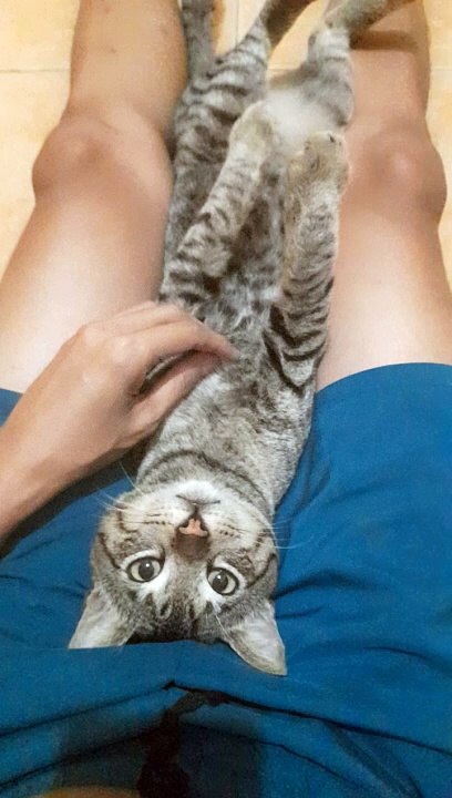 loki
