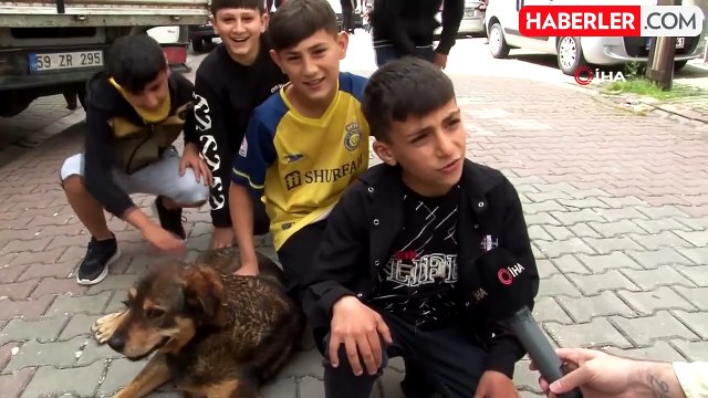 Yağmurda ıslanan köpeğe siper olan Ayaz o anları anlattı
