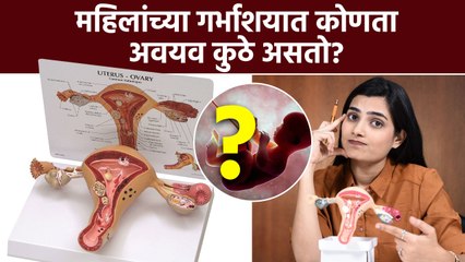 गर्भाशयात कोणता अवयव कुठे असतो? बाळ कुठे असतं? गर्भाशयाची गाठ कुठे असते? | Uterus Anatomy