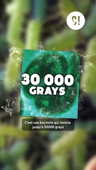 Rien ne survit aux radiations ? Si !