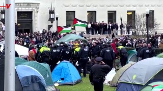 Hundreds Arrested at Pro-Palestinian Protests on U.S. College Campuses