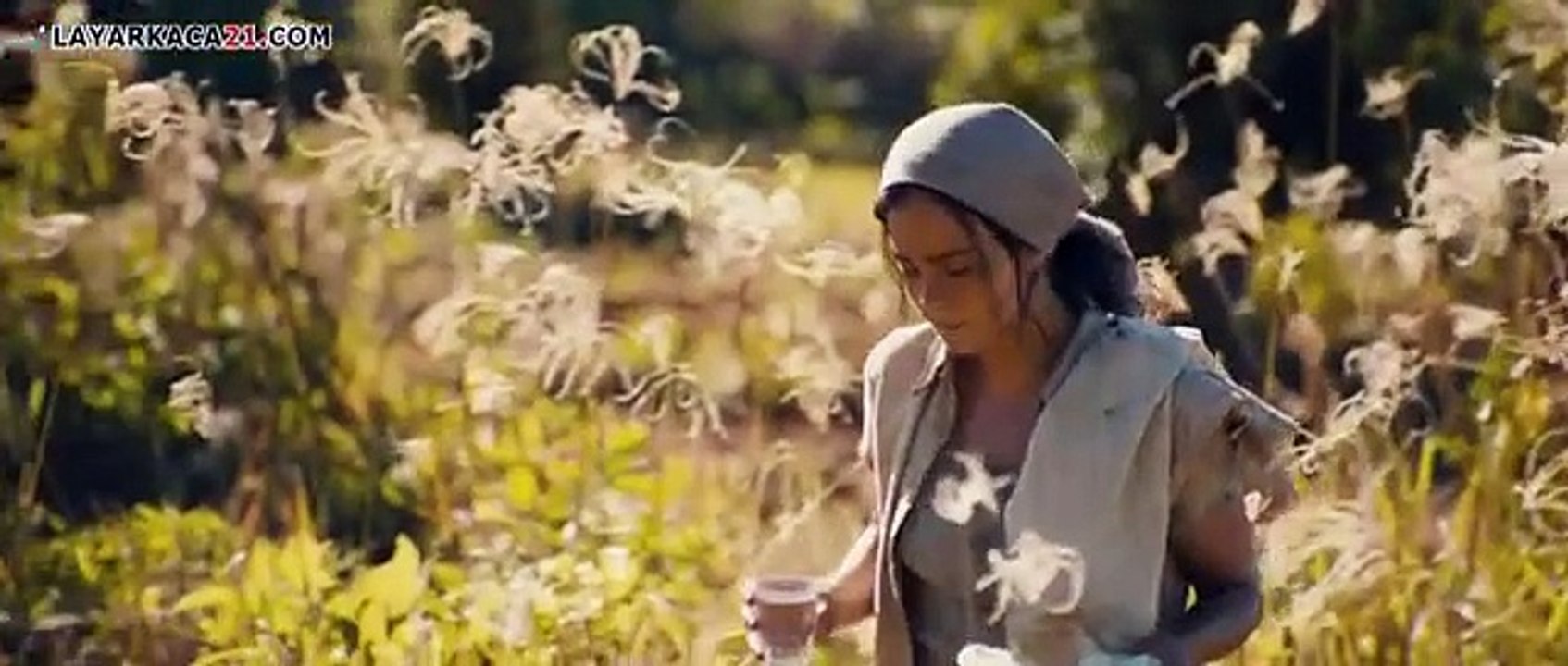 Ardor (2014)