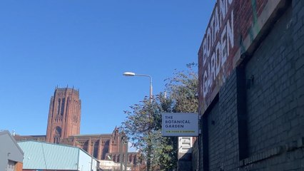 I live in the ‘coolest’ neighbourhood in Liverpool and this is what it's really like