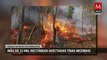 Incendios forestales afectan 33 mil hectáreas en la selva de los Chimalapas, Oaxaca