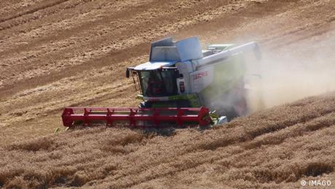 Agrarbusiness 2030: Gewinner und Verlierer