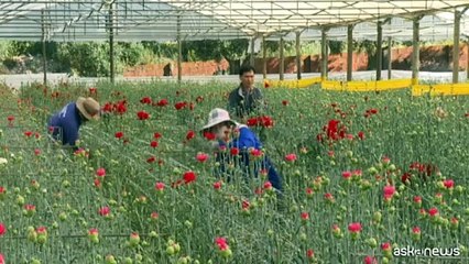 25 aprile 1974: 50 anni fa il Portogallo rovesciava il fascismo