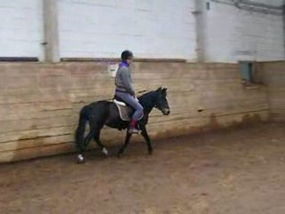 DSCF6465