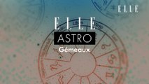 Tout savoir sur le Gémeaux