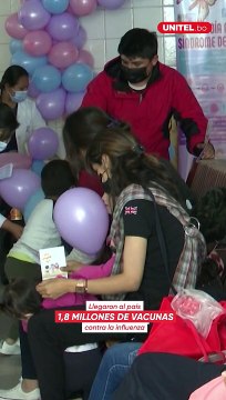 Llegan 1,8 millones de vacunas contra la influenza al país que serán aplicadas en dos fases.