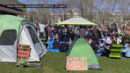 Multitudinarias acampadas a favor de Palestina y contra Israel en los campus universitarios de EEUU.