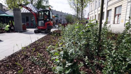 Zielona rewitalizacja