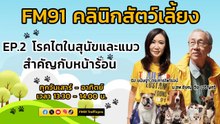 โรคไตในสุนัขและแมว สำคัญกับหน้าร้อน EP.2 : FM91 คลินิกสัตว์เลี้ยง : 21 เมษายน 2567