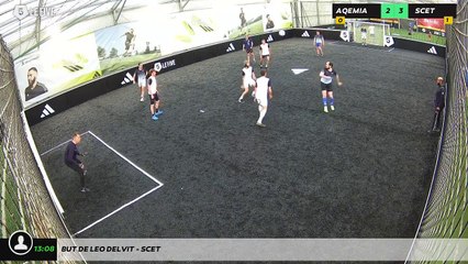 But de LEO DELVIT - SCET