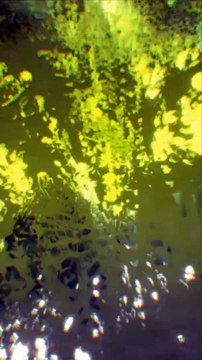 صلى عليك الله يا سيدى يا رسول الله