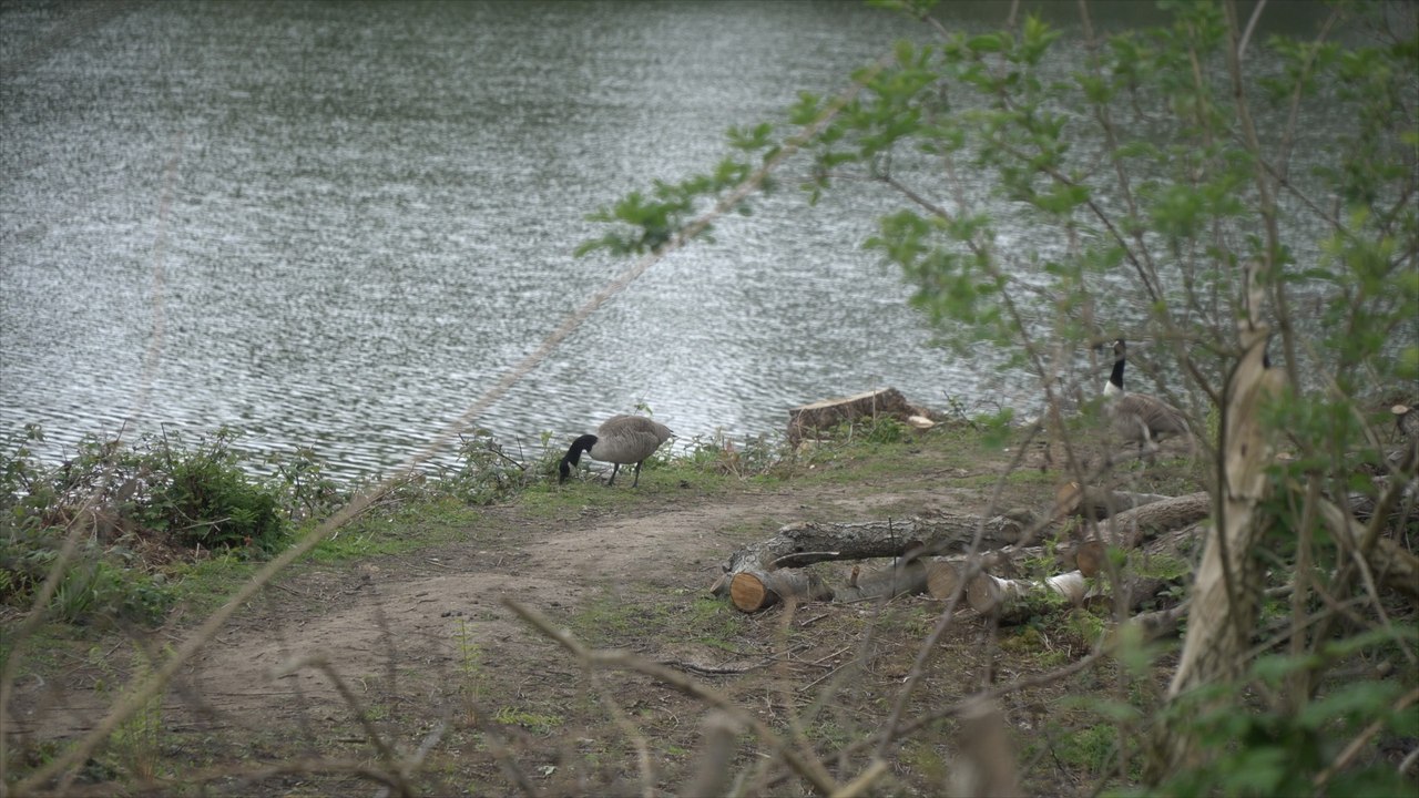 Kent Police investigating break-in at Kent Wildlife Trust's Sevenoaks Reserve