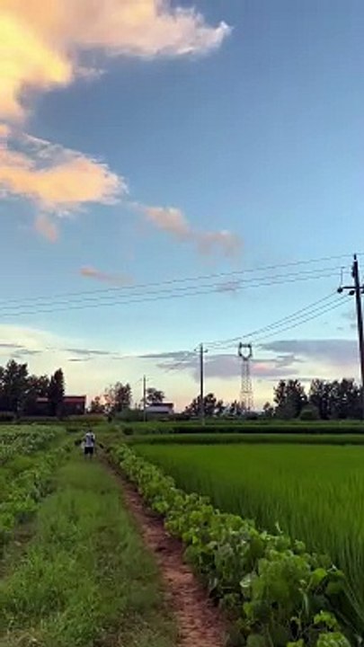 I especially like the feeling brought by the weather in summer