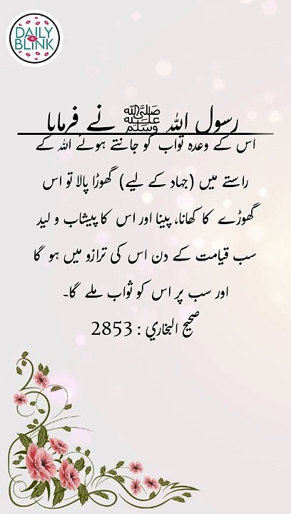 Daily Hadees | Hadees Sharif | Sahih Bukhari 2853 || Daily Blink #shorts #hadees #hadith
