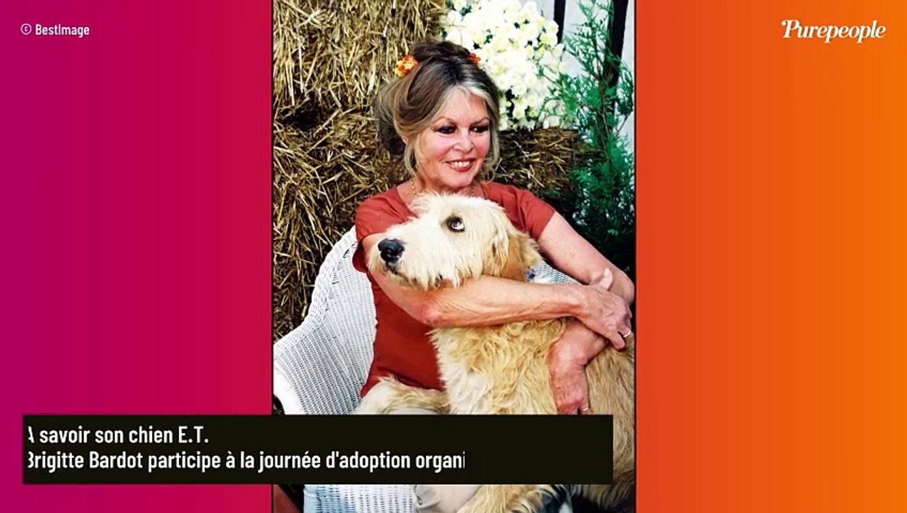 Brigitte Bardot "dévastée de chagrin", elle annonce avoir perdu un être très cher qu'elle a tant aimé