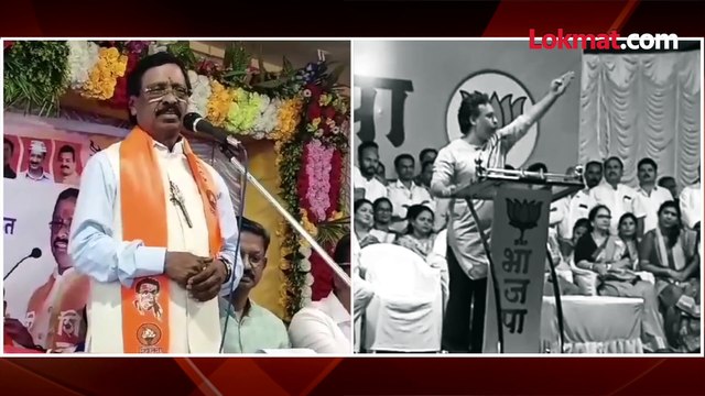 निलेश राणेंची भास्कर जाधवांवर जहरी टीका, विनायक राऊतांनी काय दिलं प्रत्युत्तर?