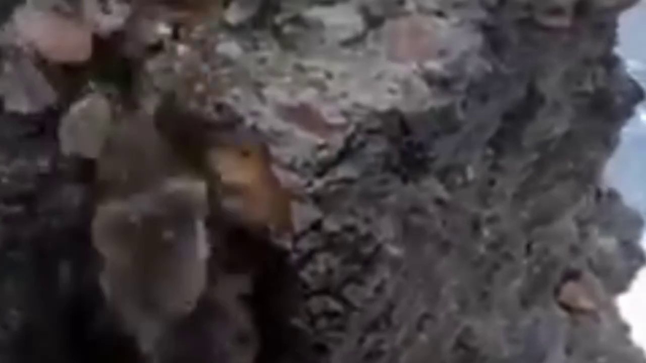 The heart should be moved by seeing the power of power Must watch the video