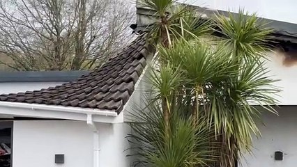 The Kingswood complex at London Apprentice after the devastating fire. Video by Adrian Jasper