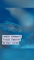 Chinese taikonauts to raise zebrafish on space station