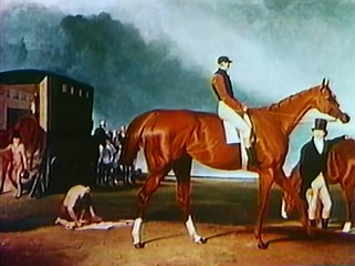 A Magic Way of Going: The Story of Thoroughbreds | Full Documentary | NOVA | PBS