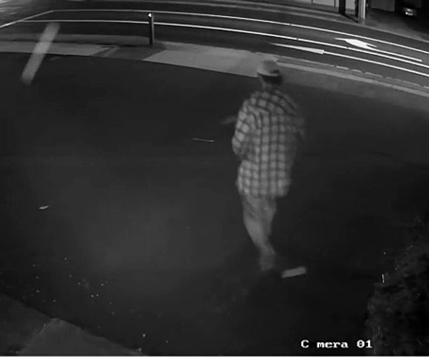 Devonport lockdown suspect