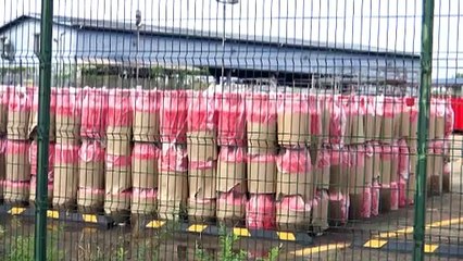 Cooking Gas Shortage? Authorities Say Supplies Are Stable 🛢️