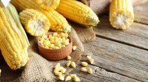 Los mexicanos ¿inventaron el maíz?