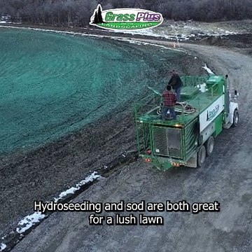 Hydroseeding vs Sod: Which One Is Best for Your Lawn?