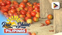 Mga pananim sa Cebu, nasisira dahil sa matinding init at kakulangan ng supply ng tubig