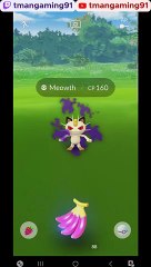 Pokémon GO-Shadow Meowth
