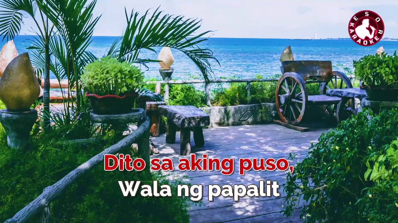 Ikaw Ang Iibigin Ko - Jos Garcia (Karaoke)