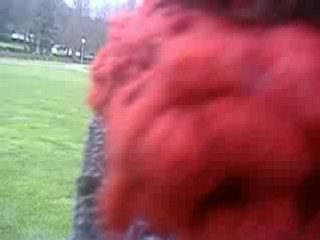 Tremplin Roc'han feu^^2