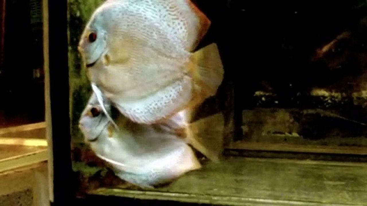 57