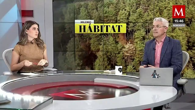 WWF lanza campaña Ojo al Plástico para reducir contaminación | Milenio Hábitat