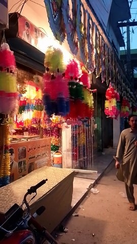 My new vlogs | travel vlogs