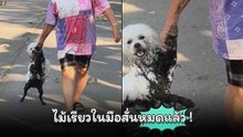 เจ้าตูบขนปุยไปเล่นน้ำมา งานนี้เจอแม่ลากกลับบ้าน…