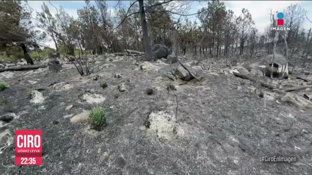 Incendios provocados por talamontes arrasaron con 750 hectáreas en Jilotzingo, Edomex