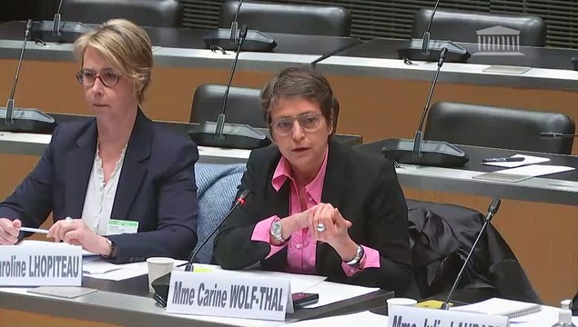 Accompagnement des malades et fin de vie : Table ronde avec les ordres des professionnels de santé ; Table ronde réunissant l’Académie nationale de médecine et le Conseil économique, social et environnemental - Mardi 23 avril 2024