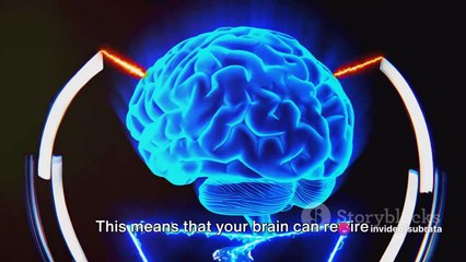 Rewire Your Brain for Success and Happiness