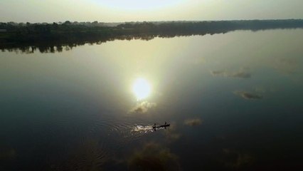 A la reconquête des forêts vidéo bande annonce