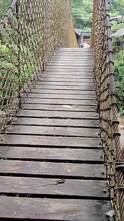 The hanging bridge