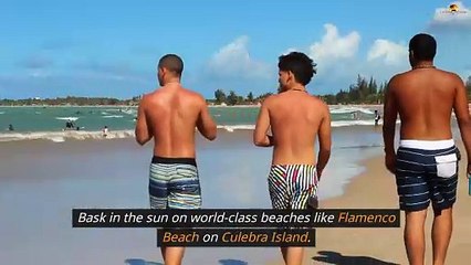 Why Is Puerto Rico A Popular Tourist Destination